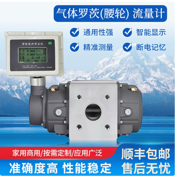 LLQ-65氣體羅茨腰輪流量計(jì)