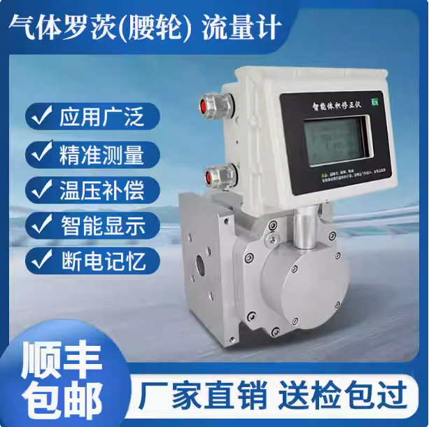 LLQ-125氣體羅茨腰輪流量計(jì)...