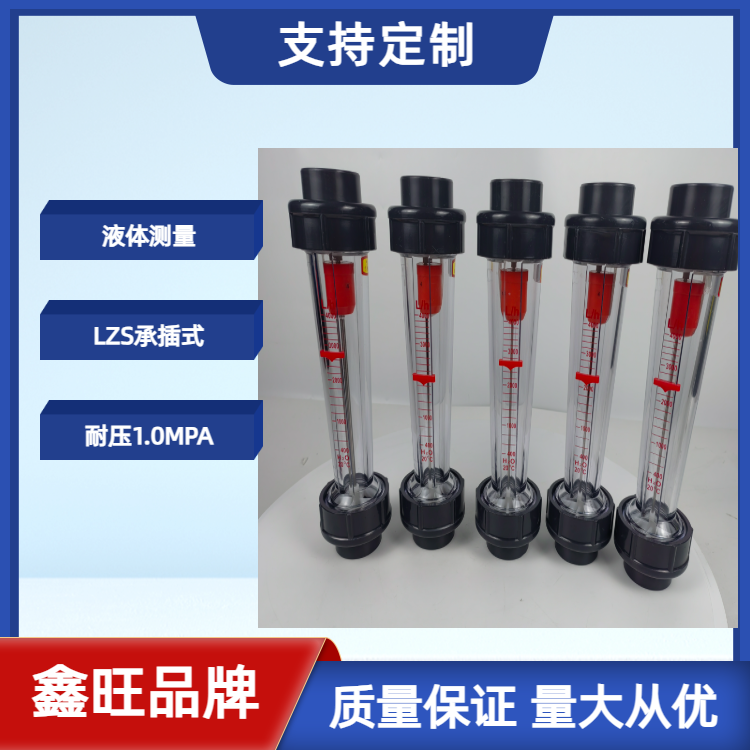 LZS-25塑料管浮子流量計(jì)